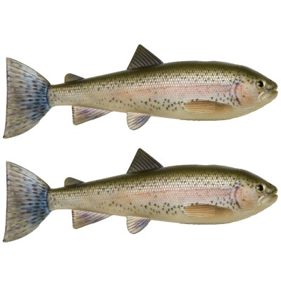 Rainbow Trout