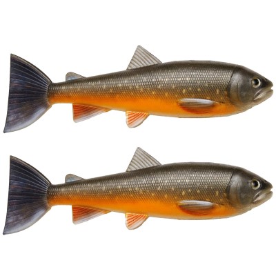 Arctic Char