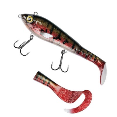 Red Sucker