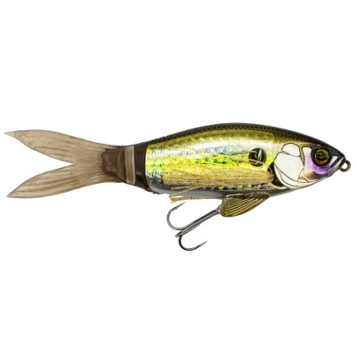 Threadfin Shad