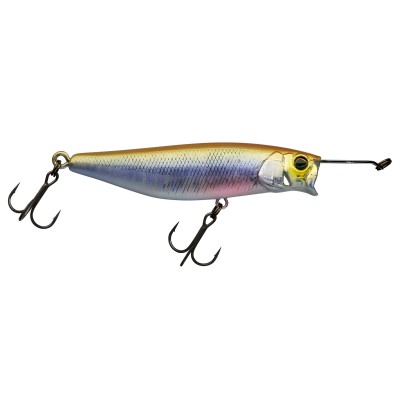 Aurora Baitfish