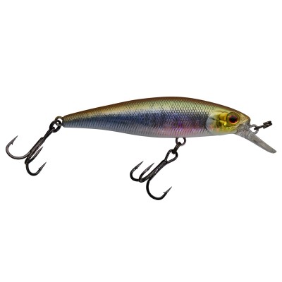 Aurora Baitfish