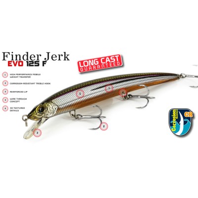 Molix Finder EVO 125 12,5cm - Ghost Natural Shad