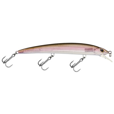 Molix Finder EVO 125, 12,5cm - Ghost Natural Shad