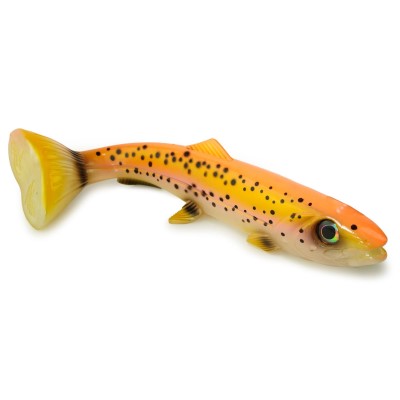 Golden Trout
