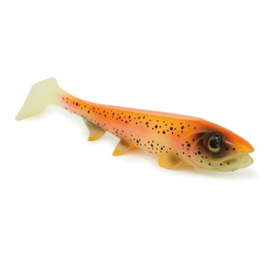 Golden Trout