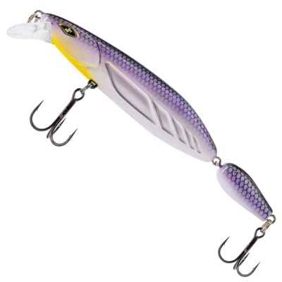 White Fish