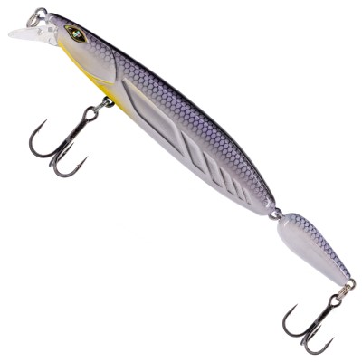 White Fish