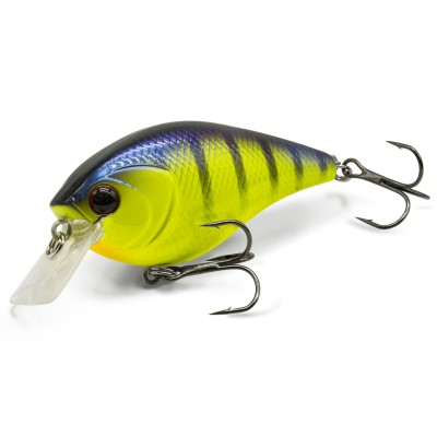 Yellow Tiger