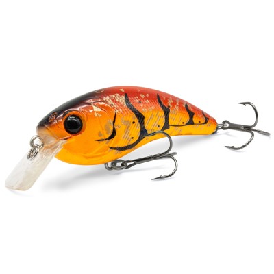Orange Craw