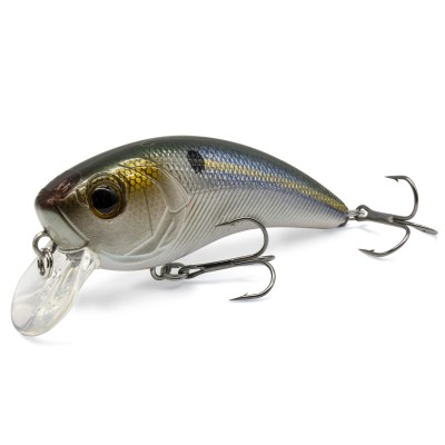 Golden Shad
