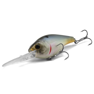 Silverfish
