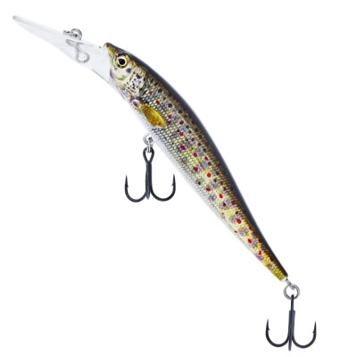 Brown Trout Fry