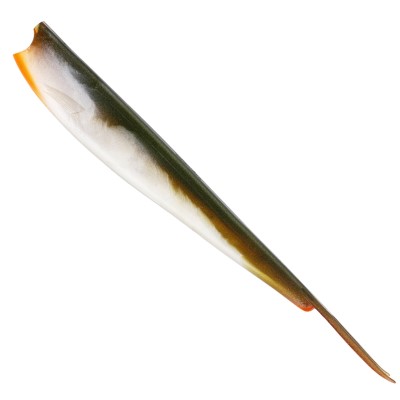 Bass Orange