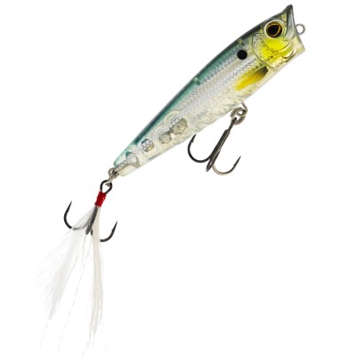 Westin Spot-On Popper - Topwaterköder Silver Arrow - 6,5cm - 7g - 1 Stück