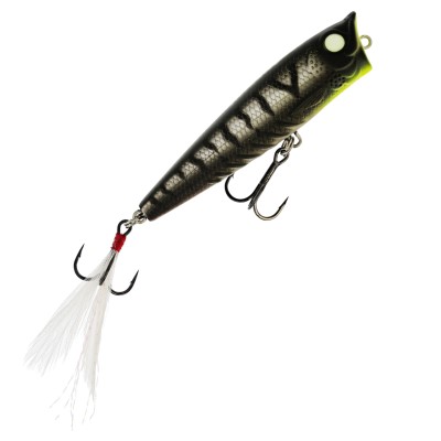 Westin Spot-On Popper - Topwaterköder Yoru - 6,5cm - 7g - 1 Stück