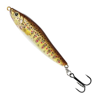Brown Trout Fry