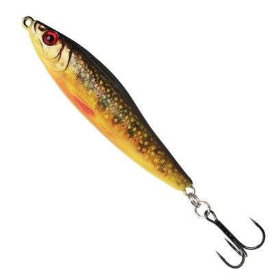 Brook Trout Fry