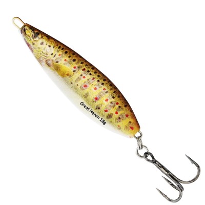 Brown Trout Fry
